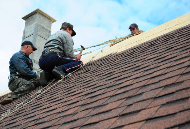 Best Local Roofing Companies  in Marbury, AL